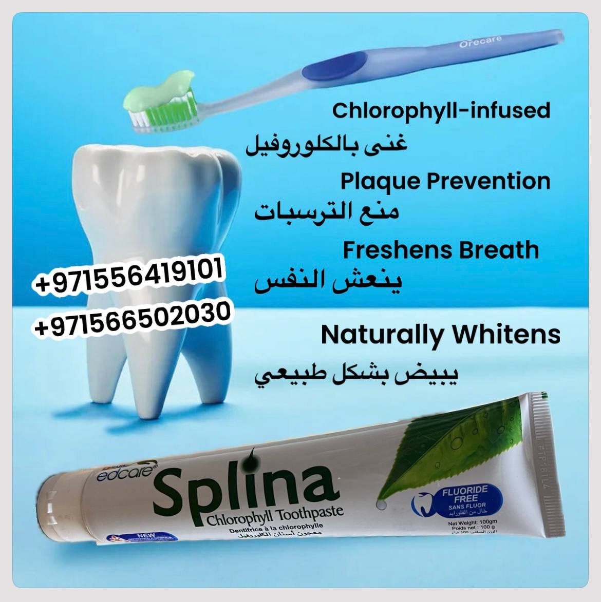 Edmark Splina Chlorophyll Toothpaste - Fluoride free معجون أسنان سبلينا كلوروفيل - الصورة 6